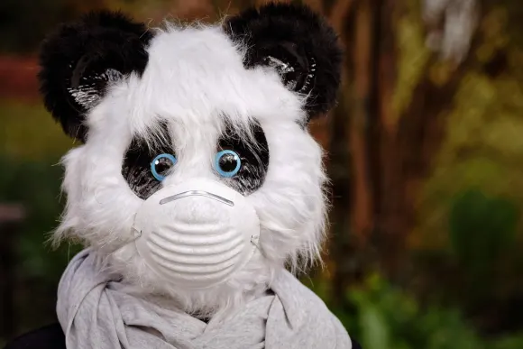 BetOriginal Kaszinó Támogatás